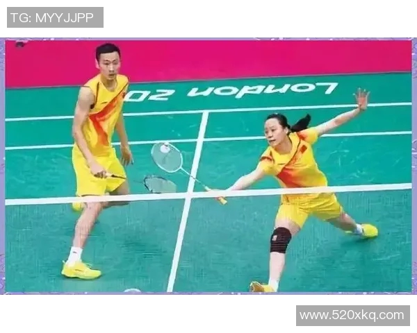 武汉羽毛球队战术解析与比赛策略探讨助力羽毛球竞技水平提升